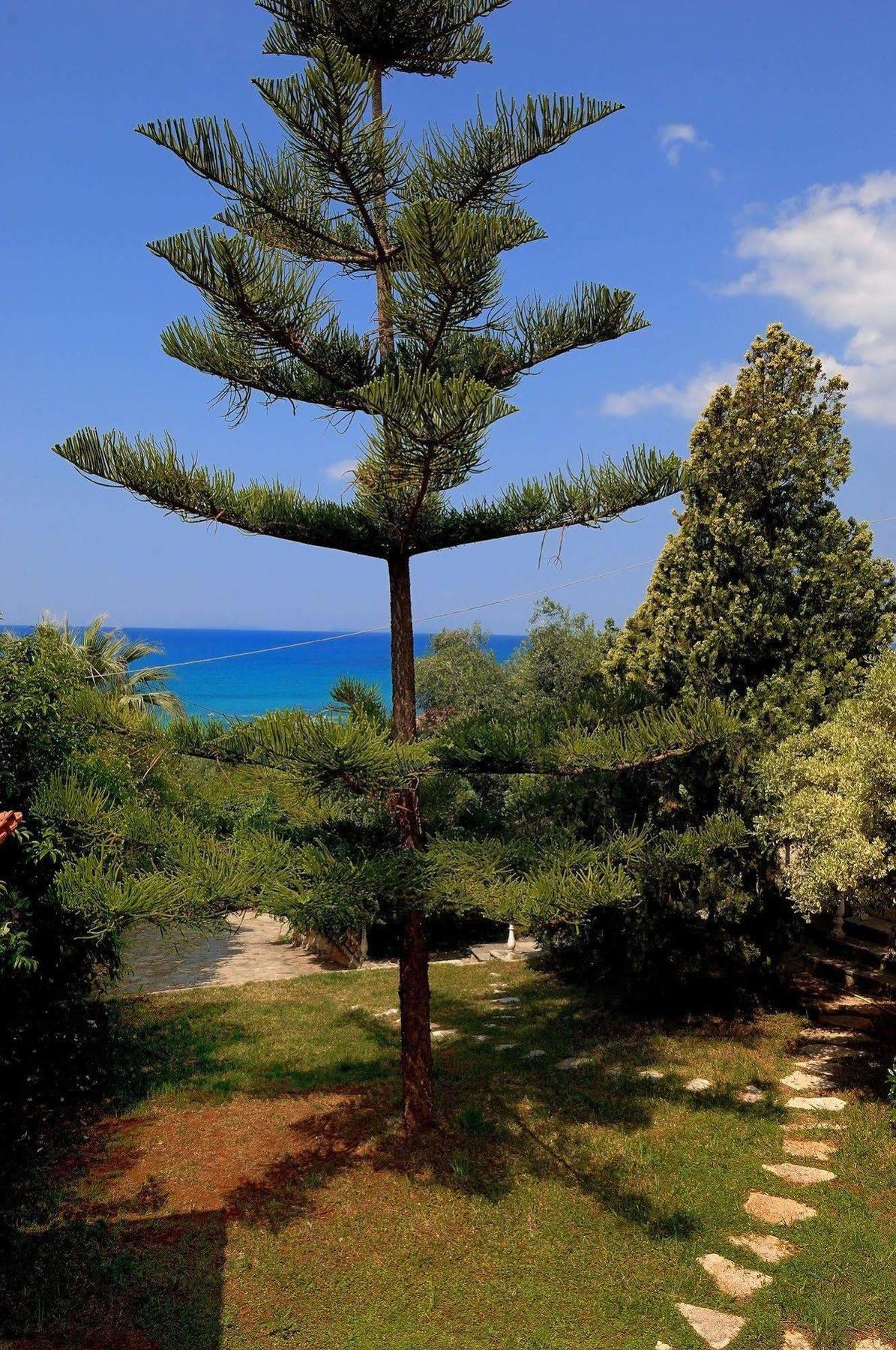 Villa Vanda Lygia  Dış mekan fotoğraf
